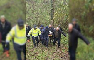 Alzheimer hastası kayıp kadın ormanlık alanda...