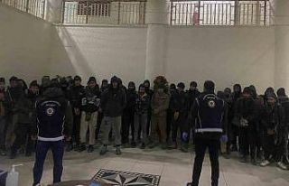 Amasya’da çinko yüklü tırdan 37 kaçak göçmen...