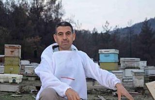 Ana arı üretiminde büyük başarı: Bir arı kovanıyla...