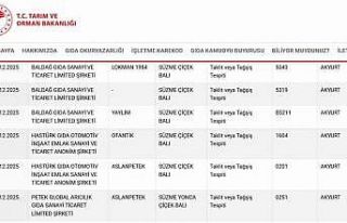 Ankara’da bal uyarısı: Taklit ve tağşiş yapılan...