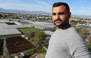 Antalya’da çiftçiler 1,5 dönümlük tarlaya 13...