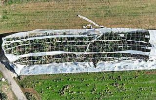 Antalya’da hortumun seralara verdiği zararın boyutu...