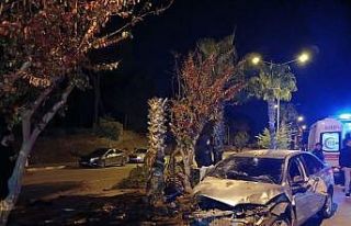 Antalya’da palmiyeye çarpan otomobilin sürücüsü...