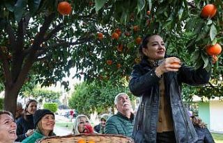 Antalya’nın turunçları Korkuteli’nden sofralara...