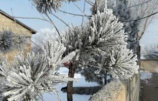 Araçlarını soğuktan korumak için battaniyelerle...