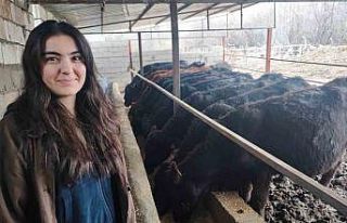 Atama beklerken hayvancılığa başladı