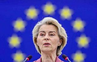 Avrupa Parlamentosu, Rus gazının ithalatını yasaklama...