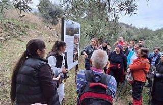 Aydın Büyükşehir’in doğa yürüyüşleri devam...