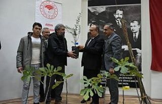 Aydın’da üreticilere 74 bin 90 fide dağıtılacak