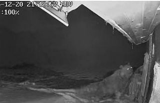 Ayılar kış uykusu nedir bilmiyor, yayla evlerine...