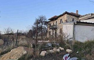 Bağlı köpek çocuklara saldırdı: 14 yaşındaki...