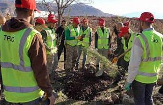 Bakan Bayraktar: "Enerjide tam bağımsız, doğasıyla...