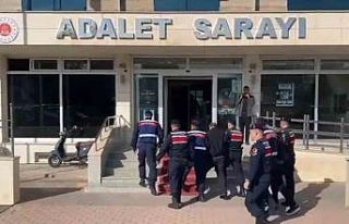 Bakan Yerlikaya: "7 İlde 7 ayrı organize suç...