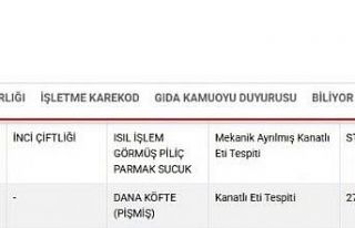 Bakanlık listesinde Kayseri’den 2 firma