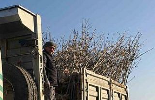 Bandırma’nın 55’inci kırsal mahallesinde 350...