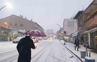 Başkale’de kar yağışı etkili oldu