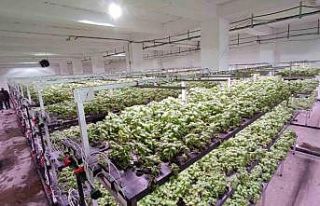 Batman’a eksi birinci katta 30 milyonluk "dikey...