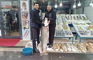 Batman’da dev turna balığı ilgi odağı oldu