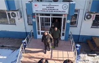 Batman’da yaban hayvanları için doğaya yem bırakıldı