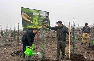 Baybatur’dan yanan orman alanlarına bin fidan