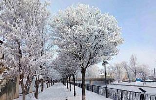 Bayburt’un Arpalı Beldesi güne kar yağışıyla...