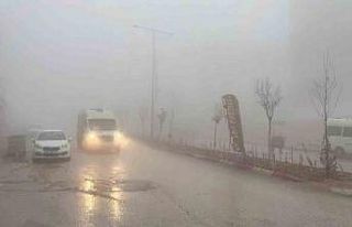 Besni’de yoğun sis etkili oldu