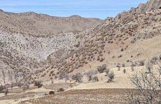 Bestler Dereler bölgesine 30 yıl sonra ilk kez yollar...