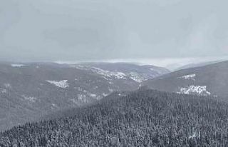 Beyaza bürünen Ilgaz Dağı havadan görüntülendi