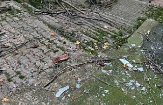 Beyoğlu’nda ağacın kırılan dalları binanın...
