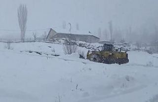 Beytüşşebap’ta eğitime kar engeli