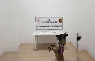 Bilecik’te şüpheli araç içinde uyuşturucu madde...