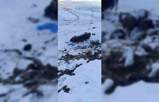 Bingöl’de otomobil şarampole yuvarlandı: 4 yaralı