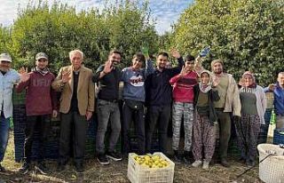 Binlerce ailenin geçim kaynağı limonun başkentinde...