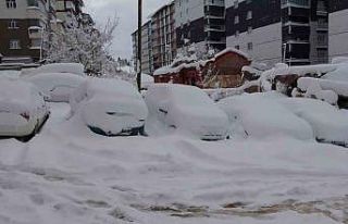 Bitlis’te arabalar ve tek katlı evler kara gömüldü