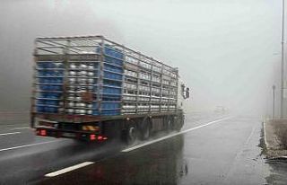 Bolu Dağı’nda sis ve sağanak etkili: Görüş...