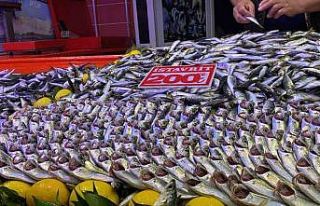 Bolu’da fırtına balık tezgahlarını vurdu