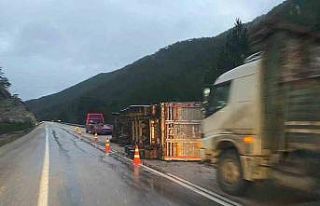 Bolu’da odun yüklü tır devrildi