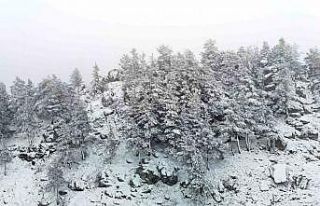 Bolu’nun yükseklerinde kar yağışı etkili oluyor