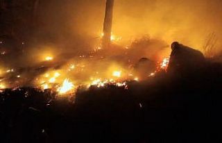 Bozyazı’da çıkan orman yangını kontrol altına...