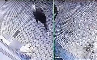 Bursa’da pazar arabası hırsızlığı