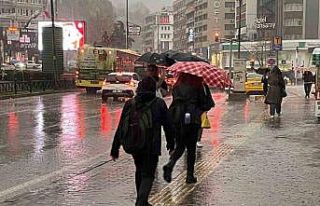 Bursalı çiftçilerin yağışlarla yüzü güldü