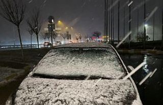 Büyükçekmece’de park halindeki araçların üzeri...