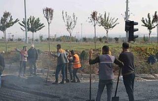 Büyükşehir Belediyesi’nden kent genelinde asfalt...