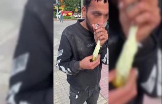 Caddede güpegündüz bali çekip kendinden geçti