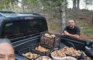 Çameli’de cintar bereketi