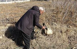 Çamurlu ayakkabısını çıkarıp markette alışveriş...
