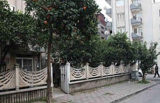 Çatıdan düşen genç hayatını kaybetti