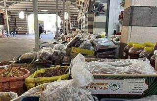 Çermik organik kuruyemiş pazarına yoğun ilgi