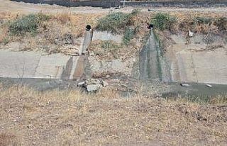 Çevreyi kirleten işletme hakkında yasal işlem...