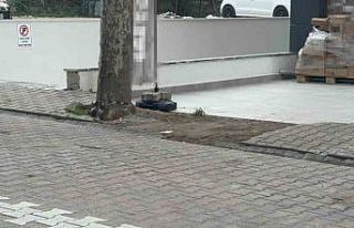 Çöpe atmak için yerden aldığı kargo poşetinin...